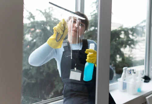 Nettoyage de vitres intérieures et extérieures à Lencloître